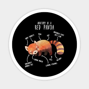 Red Panda Animal Anatomy Magnet